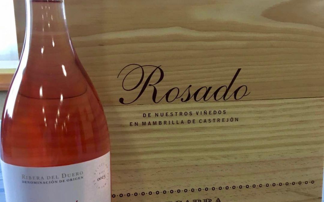 Sale al mercado nuestro Vizcarra Rosado