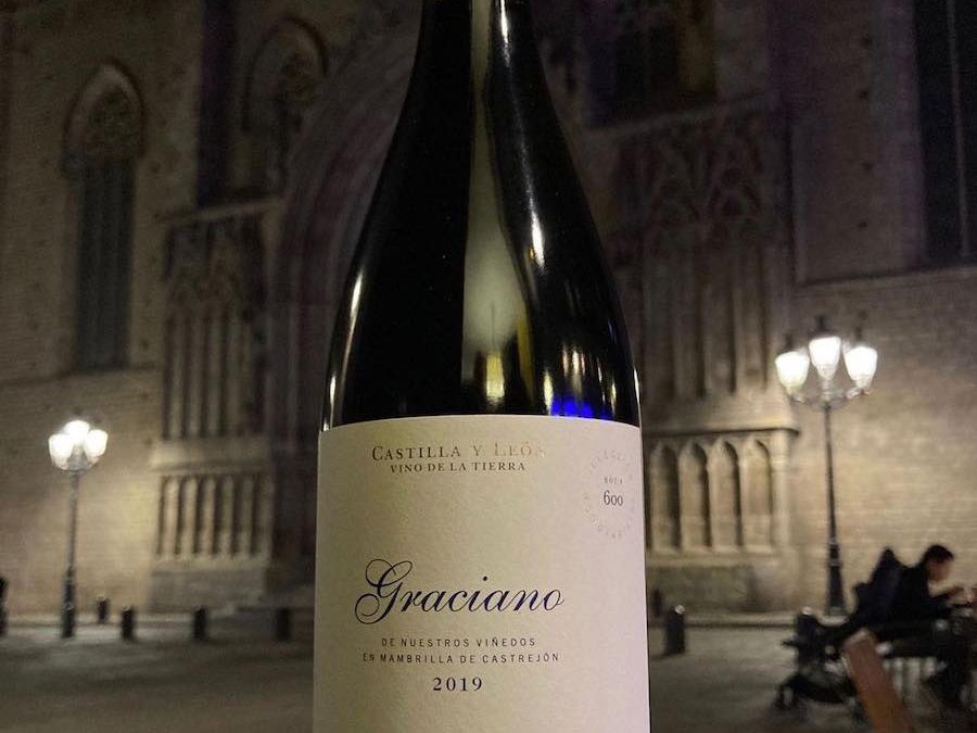 Presentamos nuestro Vizcarra Graciano