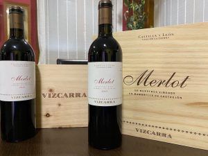 Vizcarra Merlot 2019