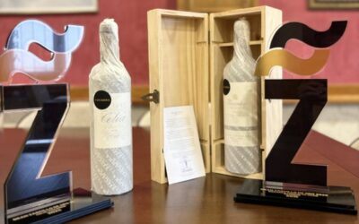 6 Premios Zarcillo 2025 para 6 de nuestros vinos