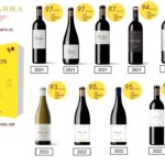 puntuaciones guia gourmets vizcarra 2025