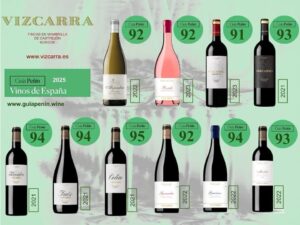 puntuaciones-guia-penin-vizcarra-2025